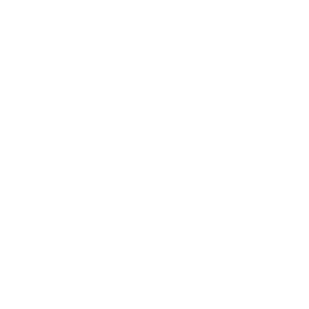 logo zb big